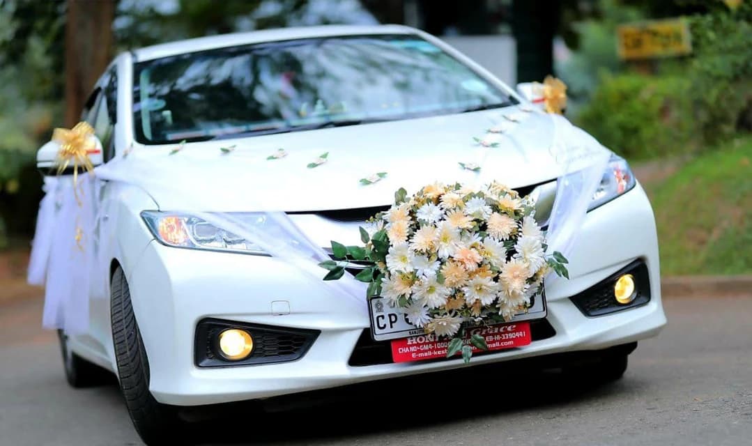 Wedding Car Hires - 3