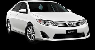 Professional Car Rental Driver
